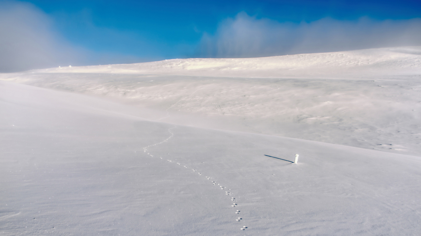 Das Footprints on snow field Wallpaper 1366x768