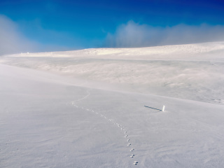Обои Footprints on snow field 320x240
