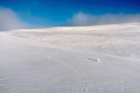 Footprints on snow field wallpaper 480x320