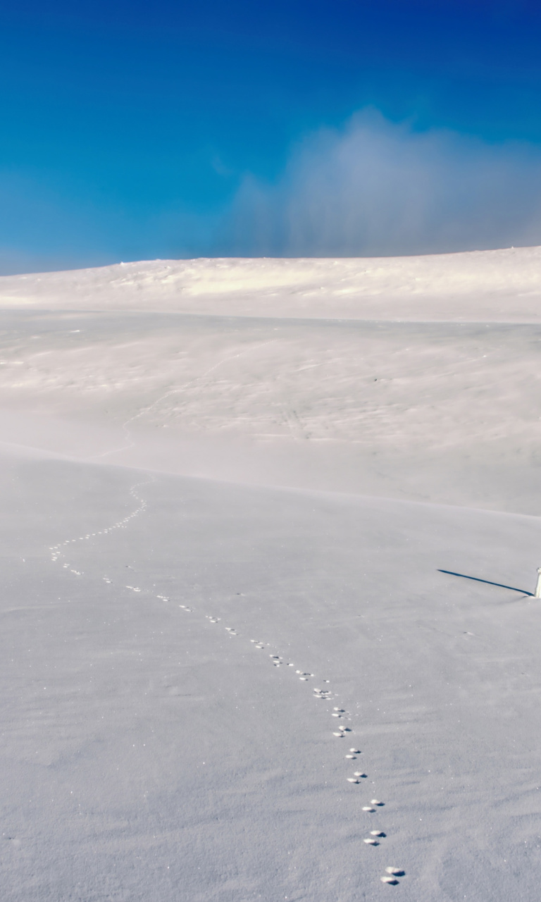 Das Footprints on snow field Wallpaper 768x1280