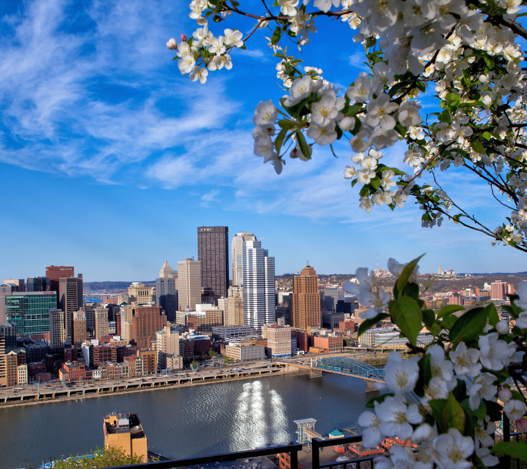 Pittsburgh Washington wallpaper 1080x960