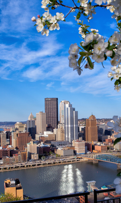 Sfondi Pittsburgh Washington 480x800