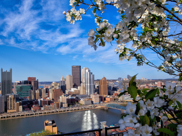 Pittsburgh Washington wallpaper 640x480