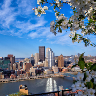 Pittsburgh Washington sfondi gratuiti per iPad 3
