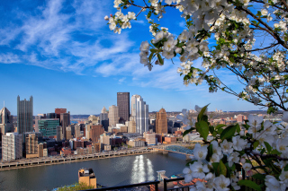Pittsburgh Washington - Obrázkek zdarma 