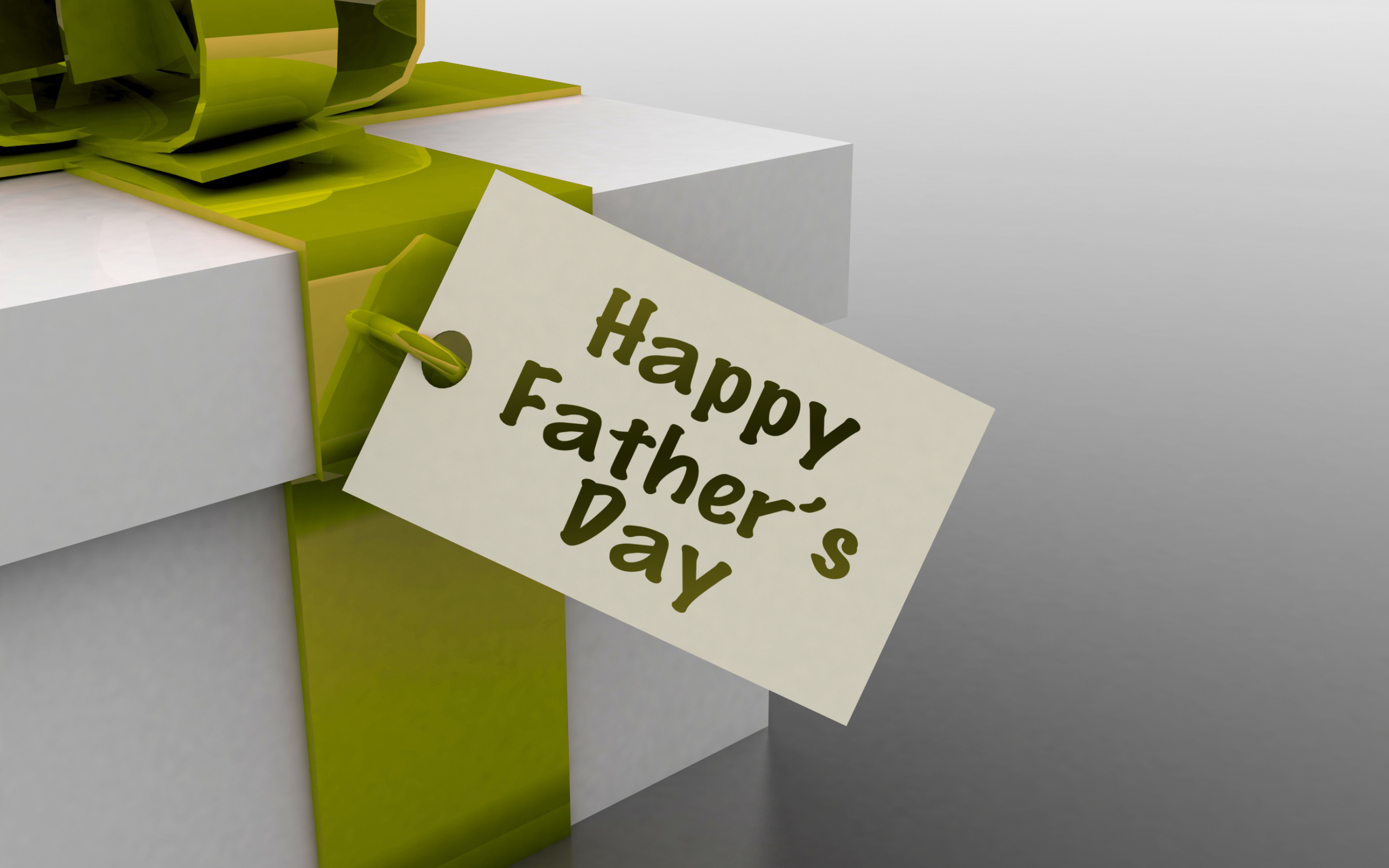 Sfondi Fathers Day Gift 2560x1600