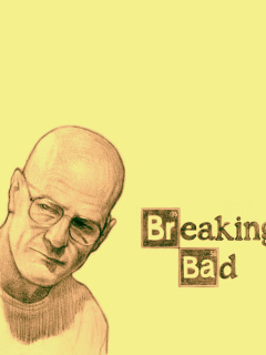 Walter White and Jesse Pinkman in Breaking Bad wallpaper 240x320