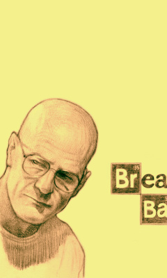 Walter White and Jesse Pinkman in Breaking Bad wallpaper 240x400