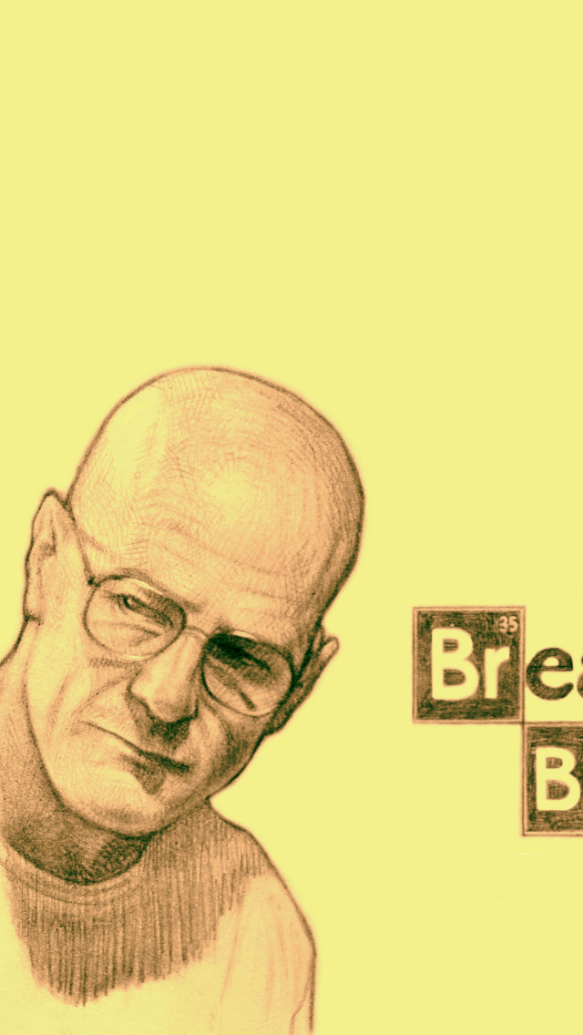 Walter White and Jesse Pinkman in Breaking Bad wallpaper 640x1136