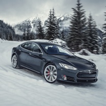 Das Tesla Model S P85D on Snow Wallpaper 208x208
