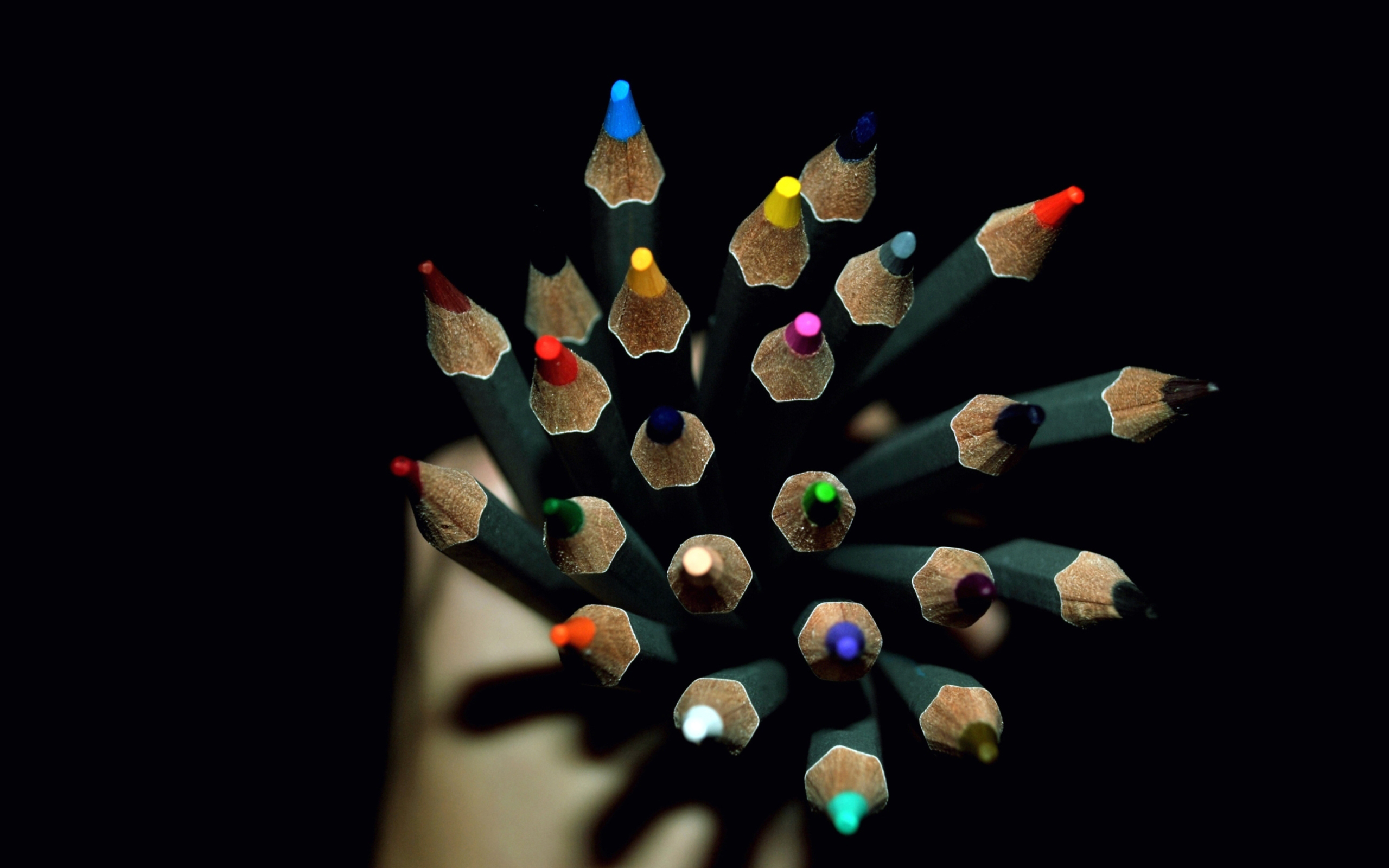 Colorful Pencils In Hand wallpaper 2560x1600