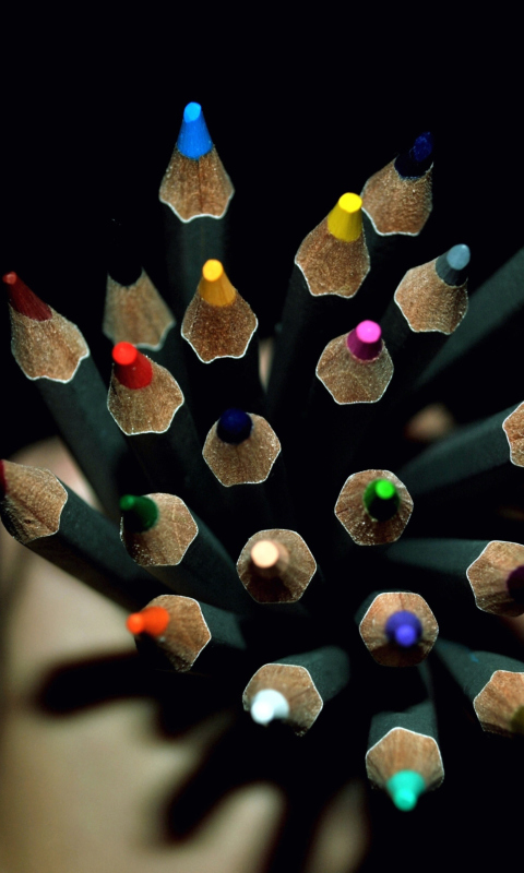 Colorful Pencils In Hand screenshot #1 480x800