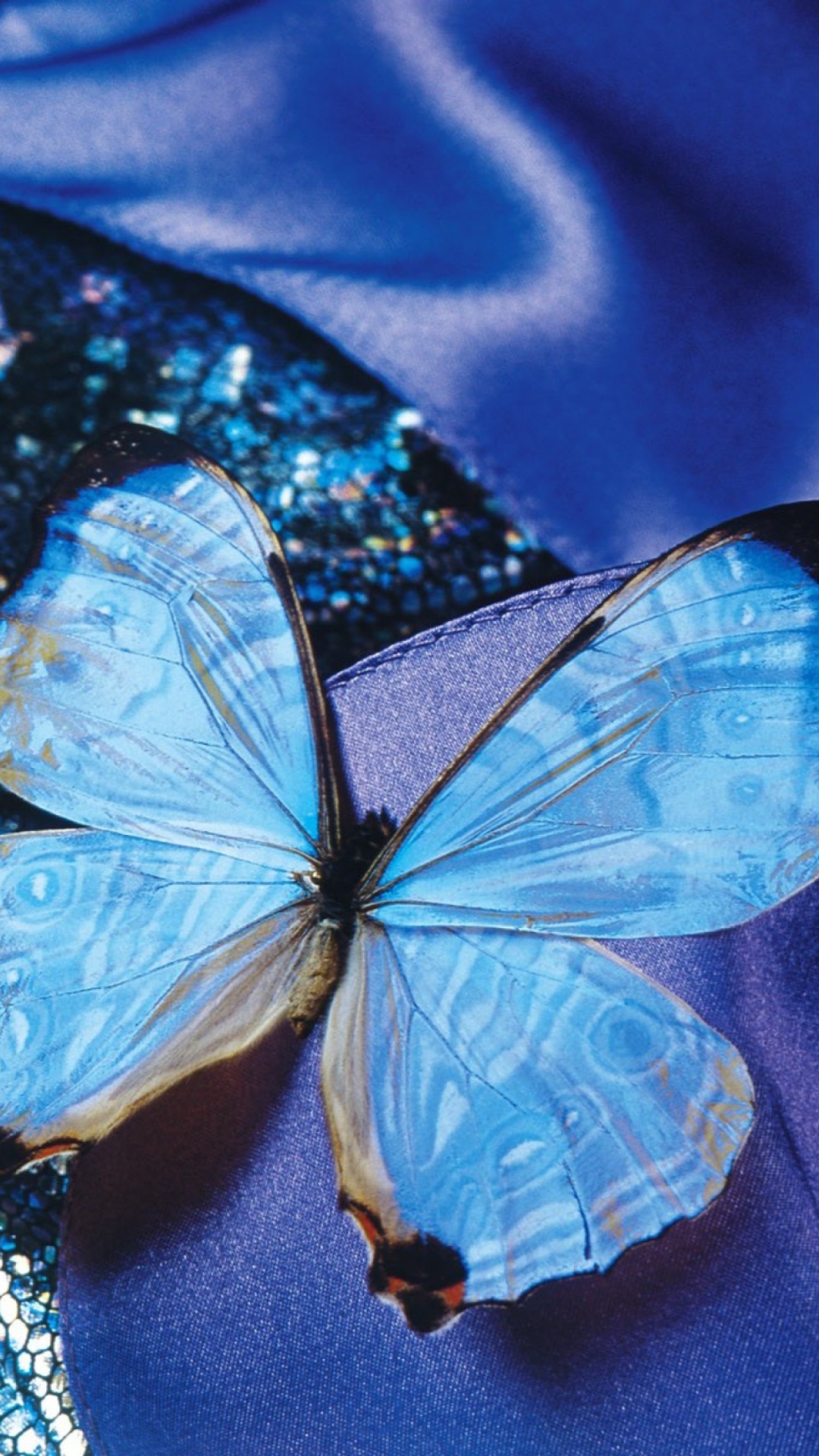Обои Blue Butterfly 1080x1920