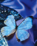 Fondo de pantalla Blue Butterfly 128x160