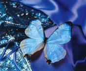 Das Blue Butterfly Wallpaper 176x144