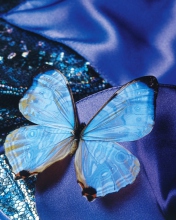 Fondo de pantalla Blue Butterfly 176x220