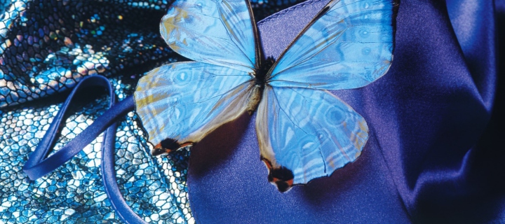 Blue Butterfly wallpaper 720x320