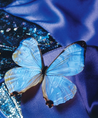 Kostenloses Blue Butterfly Wallpaper für 176x220
