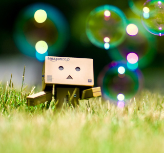 Free Danbo Picture for Samsung Breeze B209