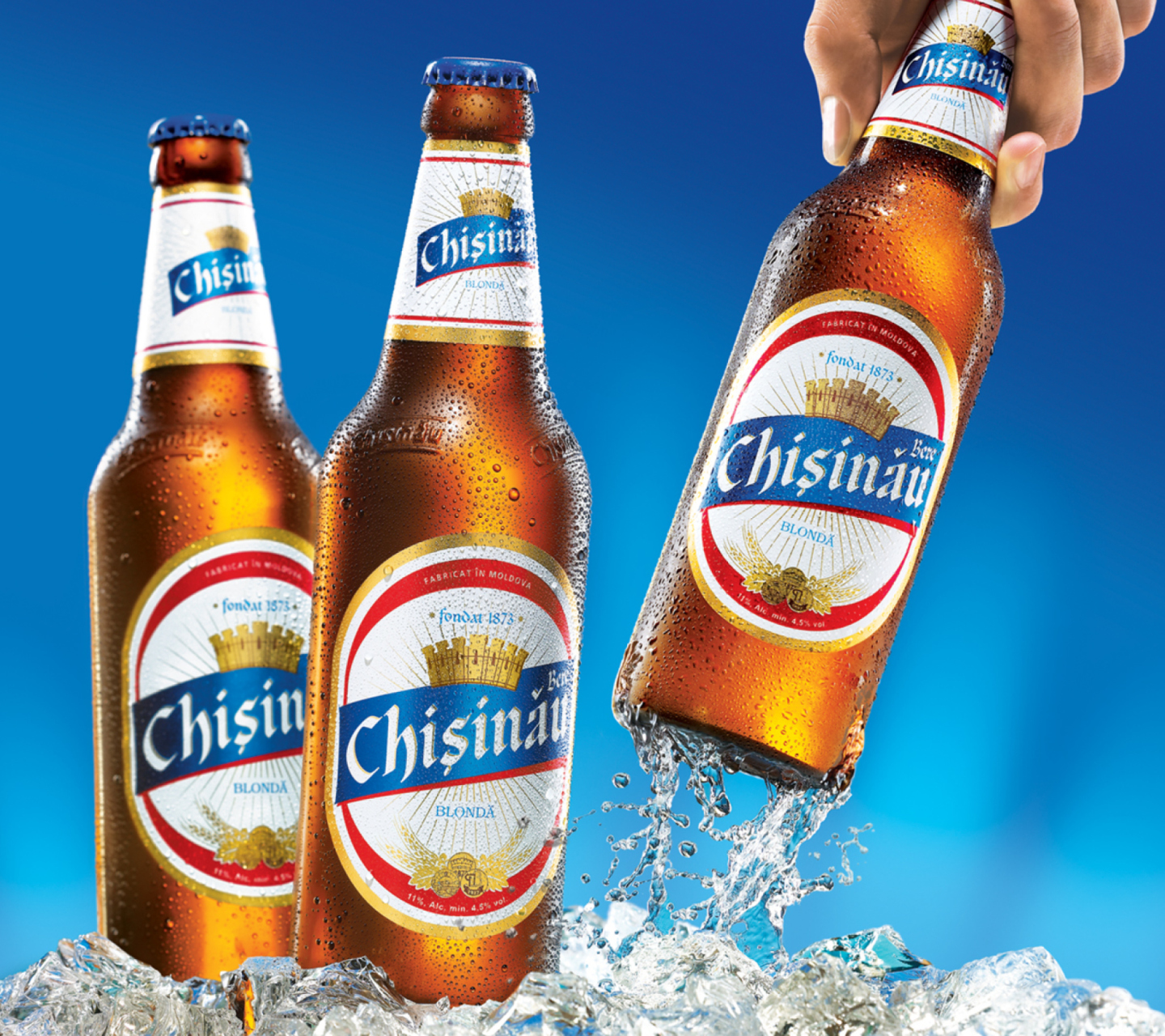 Обои Chisinau Beer 1440x1280