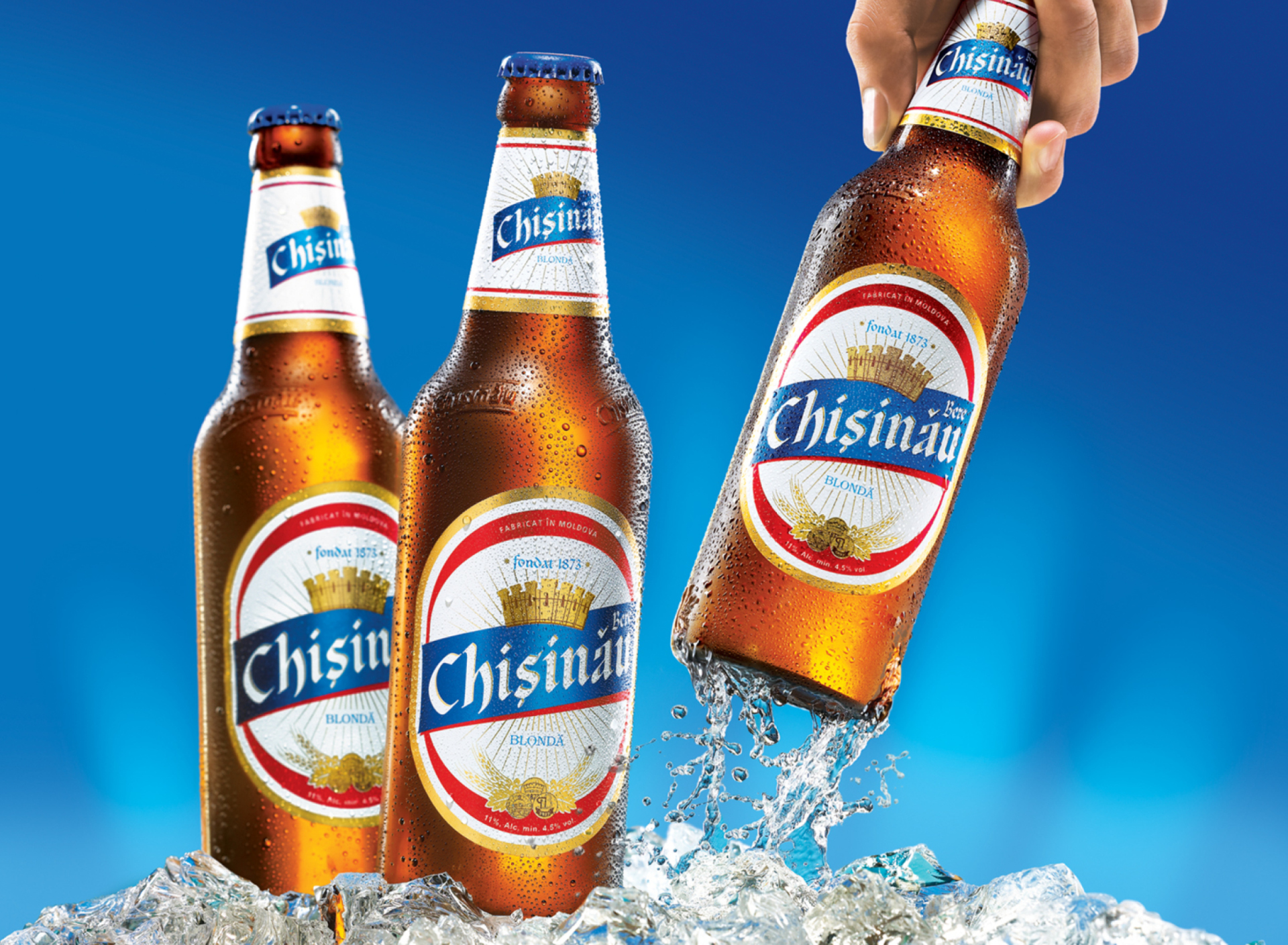 Das Chisinau Beer Wallpaper 1920x1408