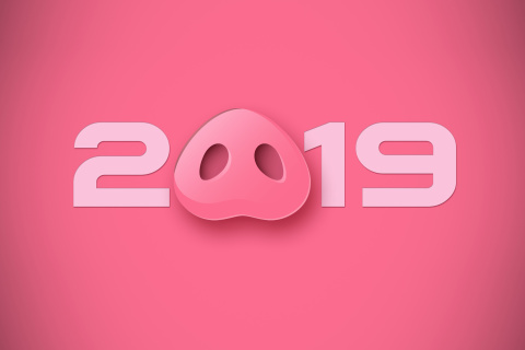 Prosperous New Year 2019 wallpaper 480x320