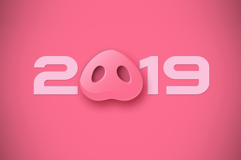 Fondo de pantalla Prosperous New Year 2019 480x320