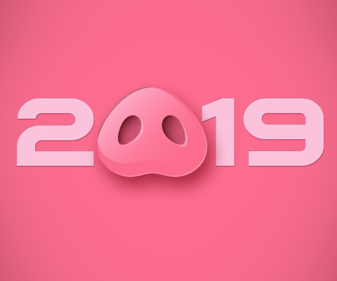 Das Prosperous New Year 2019 Wallpaper 480x400