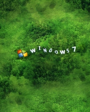 Windows wallpaper 176x220