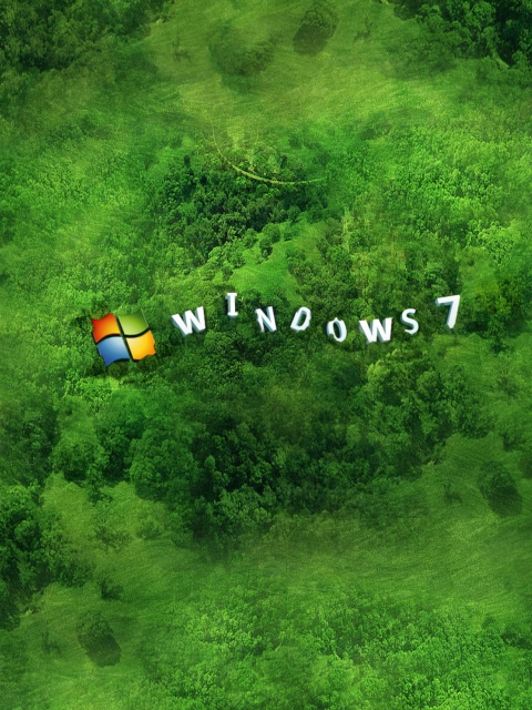 Das Windows Wallpaper 480x640