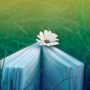 Book And Flower screenshot #1 128x128
