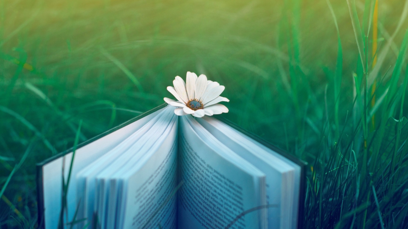 Book And Flower wallpaper 1366x768