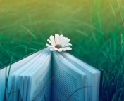 Book And Flower wallpaper 176x144