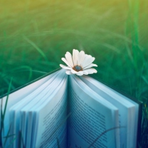 Book And Flower screenshot #1 208x208