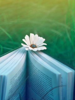 Book And Flower wallpaper 240x320