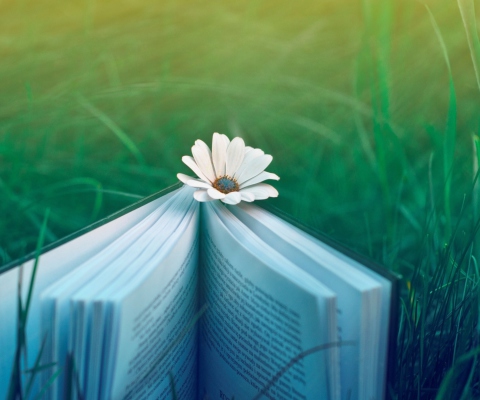Book And Flower wallpaper 480x400