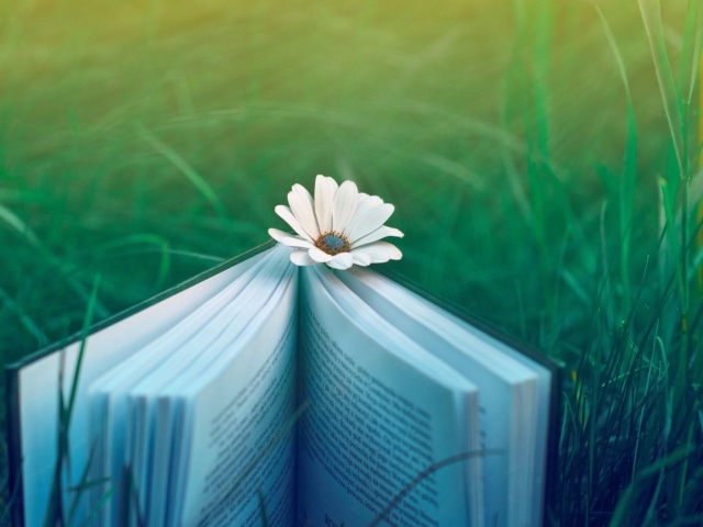 Das Book And Flower Wallpaper 640x480