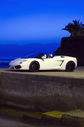 Screenshot №1 pro téma Lamborghini Gallardo LP560 320x480
