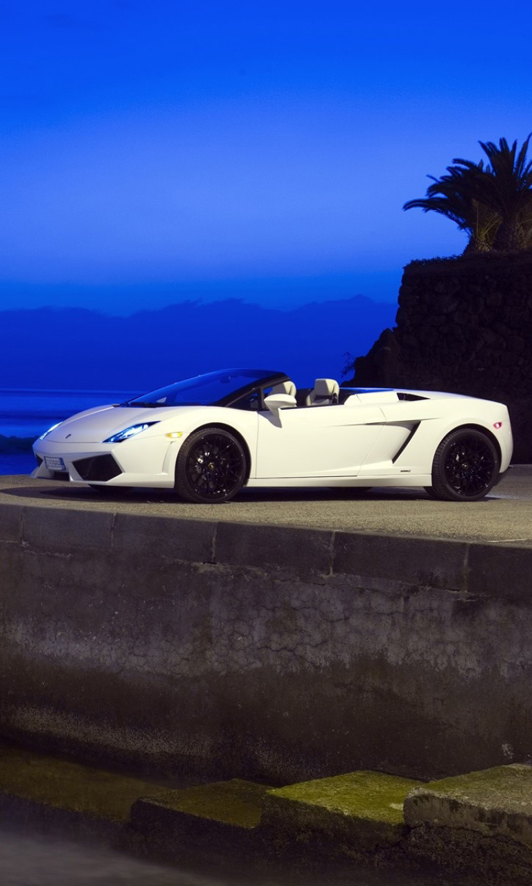 Fondo de pantalla Lamborghini Gallardo LP560 768x1280