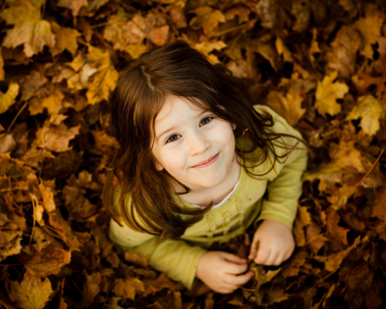 Child In Leaves wallpaper 1600x1280