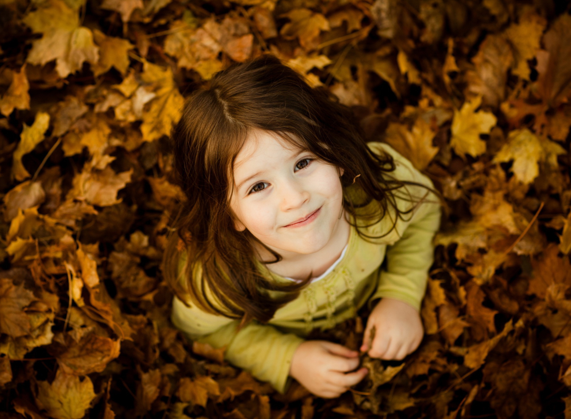 Обои Child In Leaves 1920x1408
