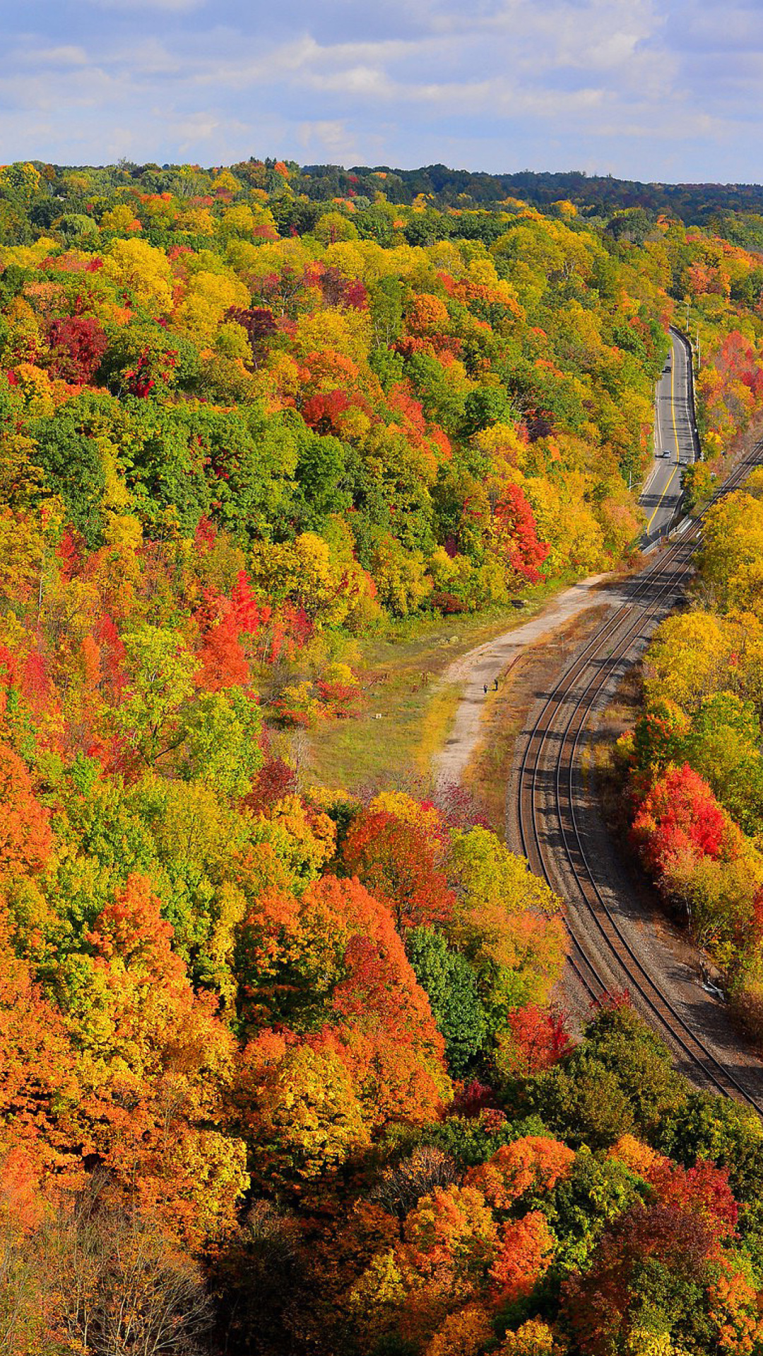 Screenshot №1 pro téma Autumn Forest in Kelowna 1080x1920