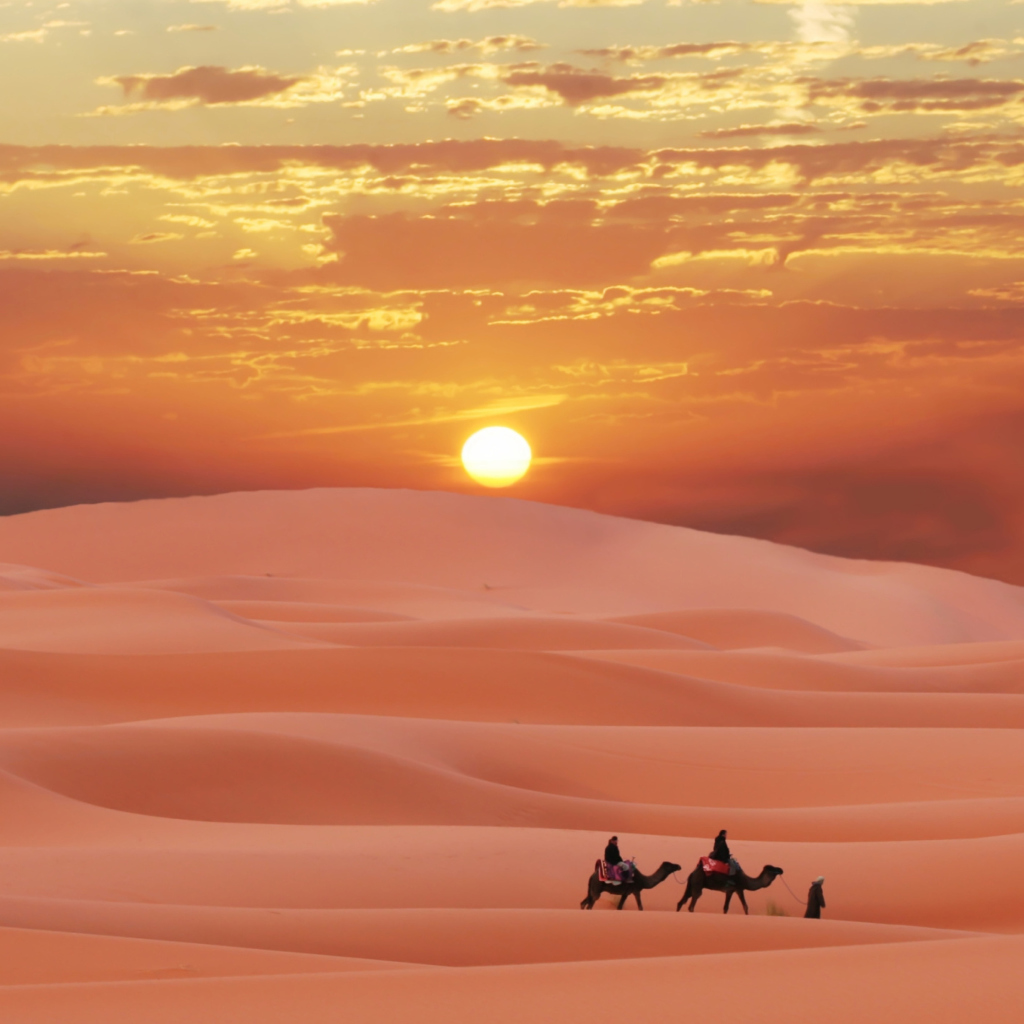 Das Sahara Desert Wallpaper 1024x1024