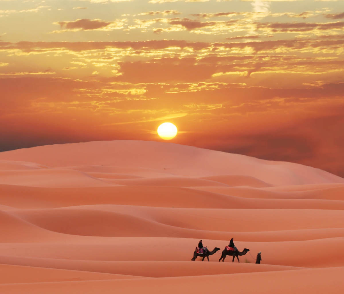 Screenshot №1 pro téma Sahara Desert 1200x1024