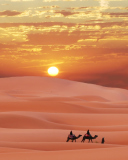 Das Sahara Desert Wallpaper 128x160