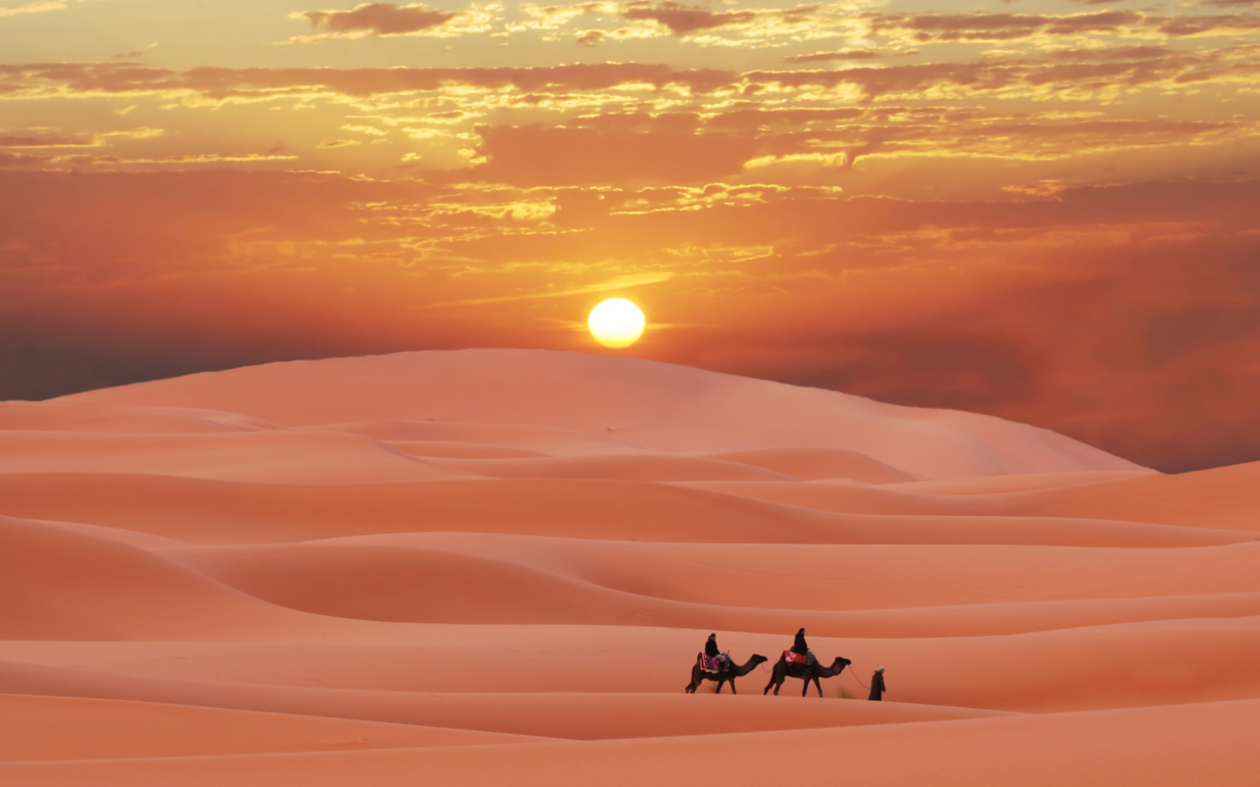 Обои Sahara Desert 2560x1600