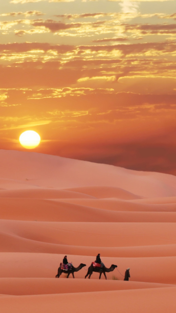 Fondo de pantalla Sahara Desert 360x640