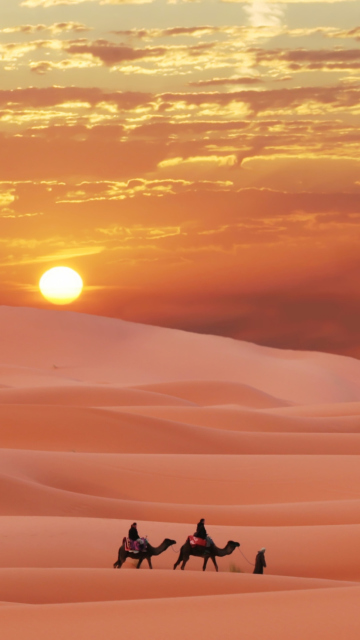 Sahara Desert wallpaper 360x640