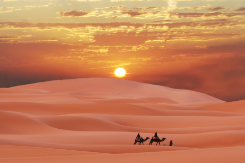 Sahara Desert wallpaper 480x320