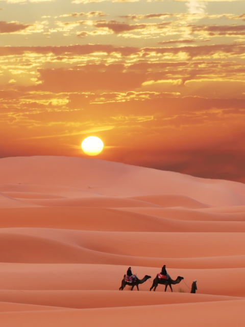 Sahara Desert wallpaper 480x640